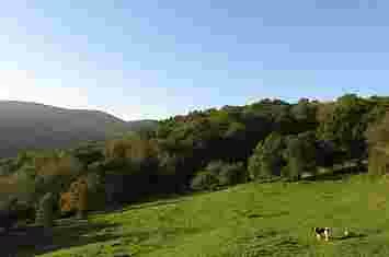 Ruta del Hayal de Aloños