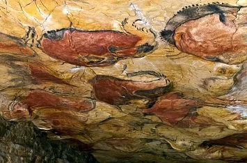 Visita guiada por la Neocueva y Museo de Altamira