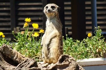 Parque de Cabárceno