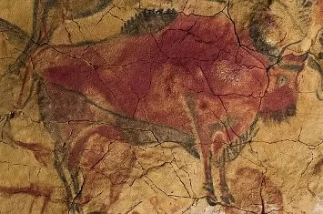 Visita guiada por la Neocueva y Museo de Altamira