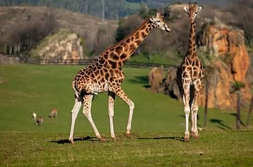 Actividades en Cantabria