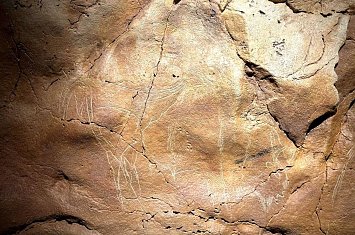 Museo y Cueva de Altamira_810