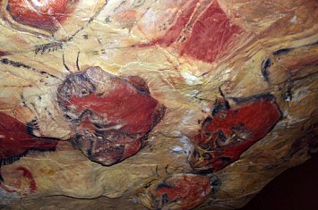 Visita guiada por la Neocueva y Museo de Altamira_780