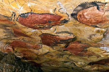 Visita guiada por la Neocueva y Museo de Altamira_777