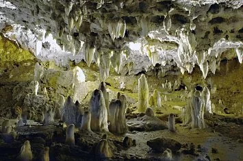 Entradas Cueva El Soplao