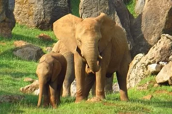 15 lugares imprescindibles que ver en Cantabria