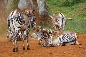 Parque de Cabárceno