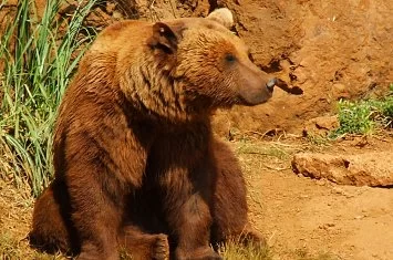 Parque de Cabárceno