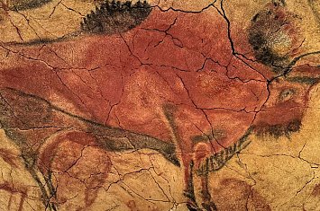Museo y Cueva de Altamira_800