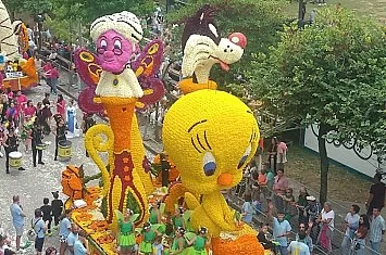 Batalla de flores de Laredo