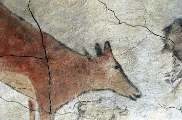 Visita guiada por la Neocueva y Museo de Altamira_778