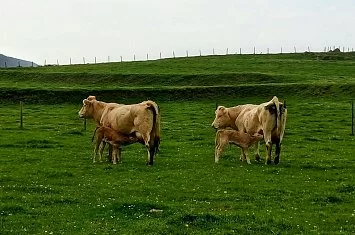 Ruta la Senda Costera de Prellezo