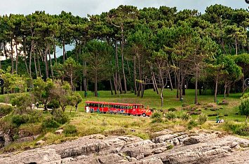 Bus y Tren Turístico Santander_830