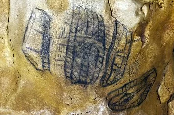 Visita guiada por la Neocueva y Museo de Altamira