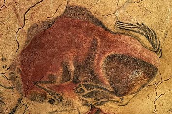 Museo y Cueva de Altamira_799