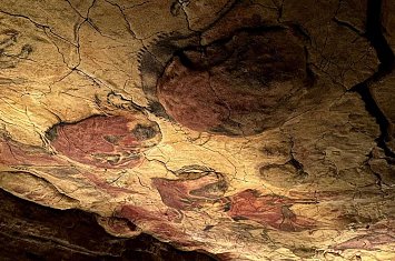 Visita guiada por la Neocueva y Museo de Altamira_815