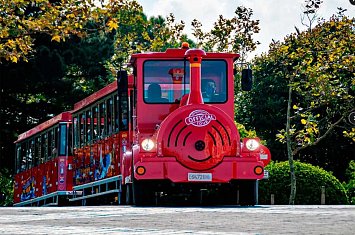 Bus y Tren Turístico Santander_826