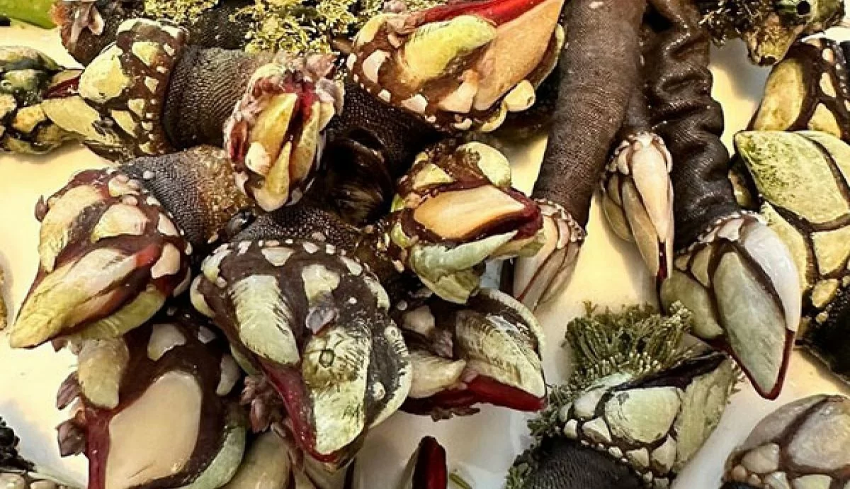 RESTAURANTE LA MULATA