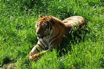 Parque de Cabárceno