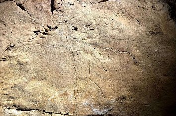 Museo y Cueva de Altamira_807