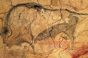 Visita guiada por la Neocueva y Museo de Altamira_814