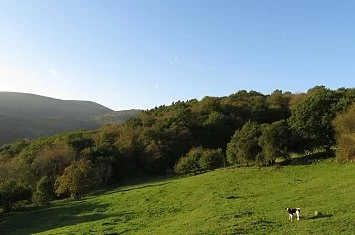 Ruta del Hayal de Aloños