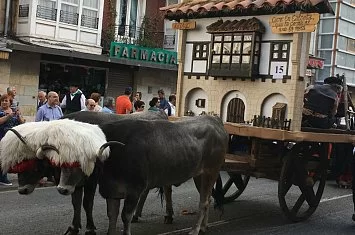 Fiestas de intéres turístico en Cantabria