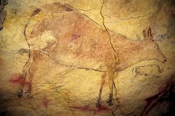 Museo y Cueva de Altamira