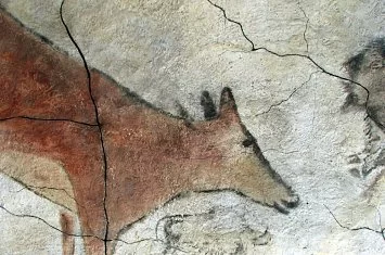 Visita guiada por la Neocueva y Museo de Altamira