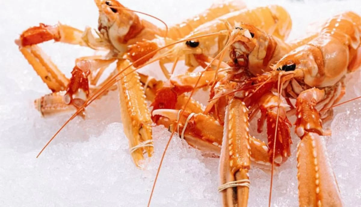 RESTAURANTE LA MULATA