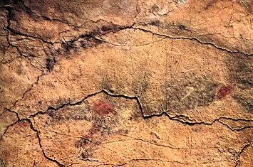 Museo y Cueva de Altamira