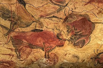 Museo y Cueva de Altamira_805