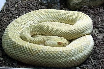 Parque de Cabárceno