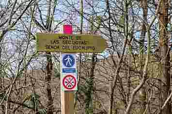 Ruta por el bosque de secuoyas de Cabezón de la Sal