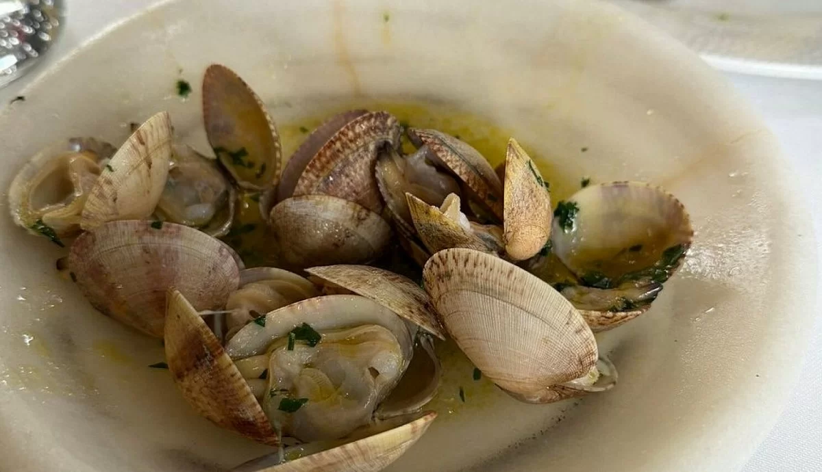 RESTAURANTE EL REMEDIO