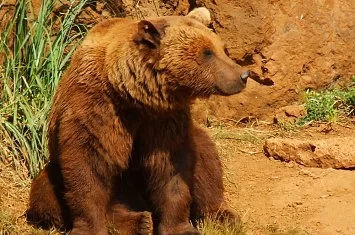 Entradas Parque de Cábarceno