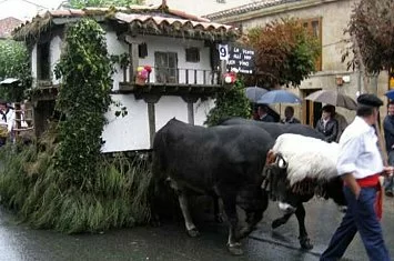 Día de Campoo