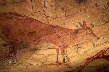 Museo y Cueva de Altamira_802