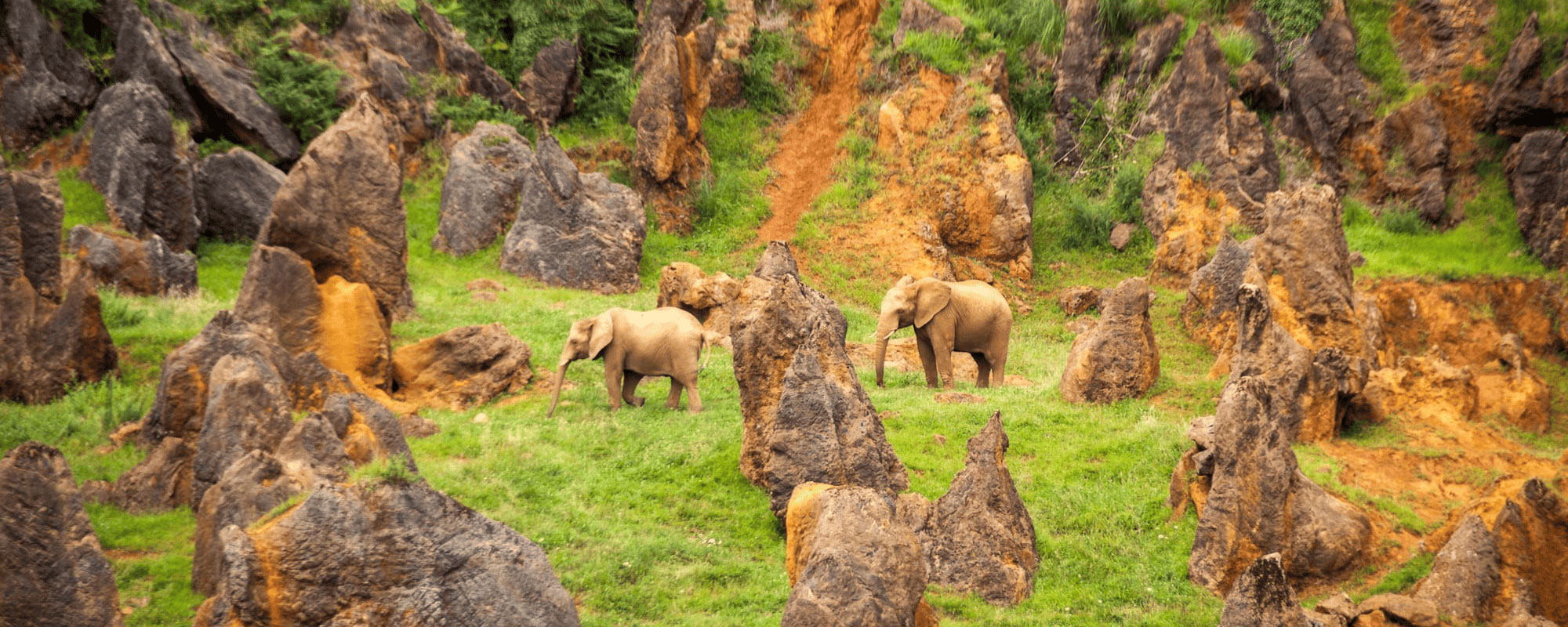 Parque de Cabárceno